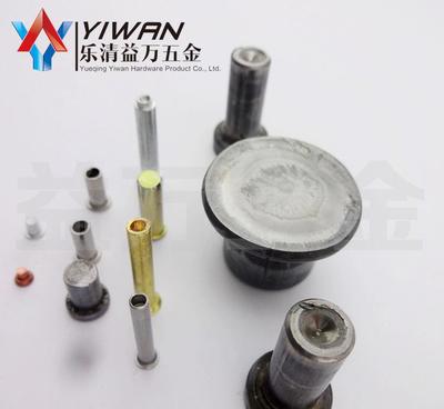 工廠直銷優質鉚釘產品 園藝工具鉚釘、電動車座椅定位銷及半空心平頭鉚釘